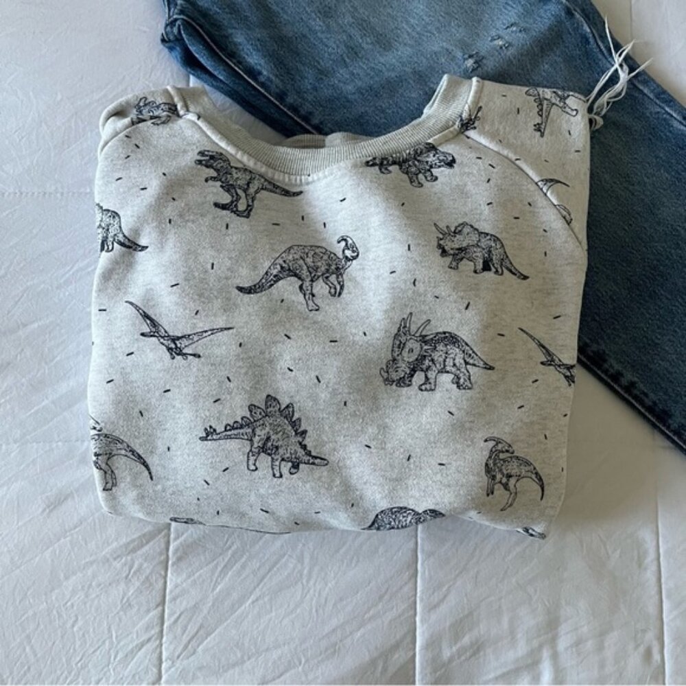 La Soul Soft Fleece Dinosaur‎ Crew Neck Sweater Size Medium